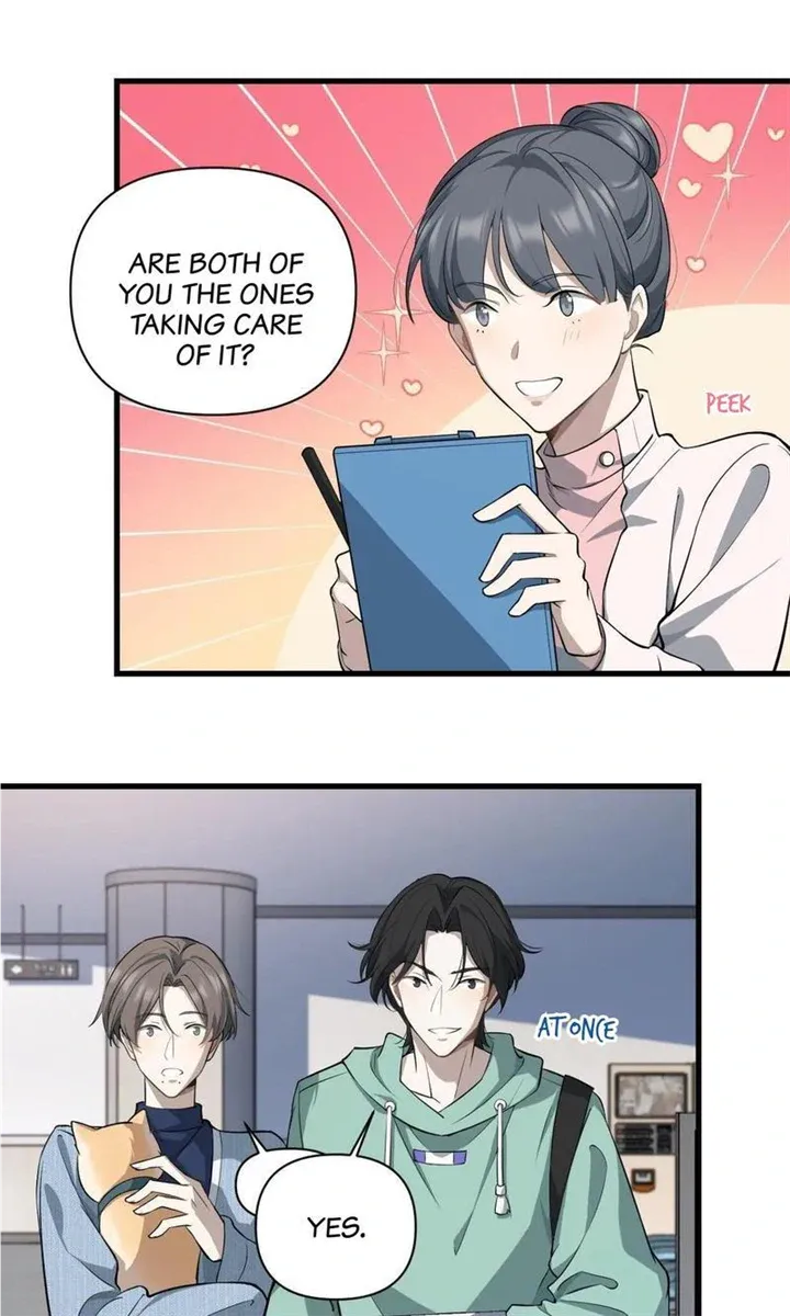 Aesthetic Formula Chapter 19 page 5 - 