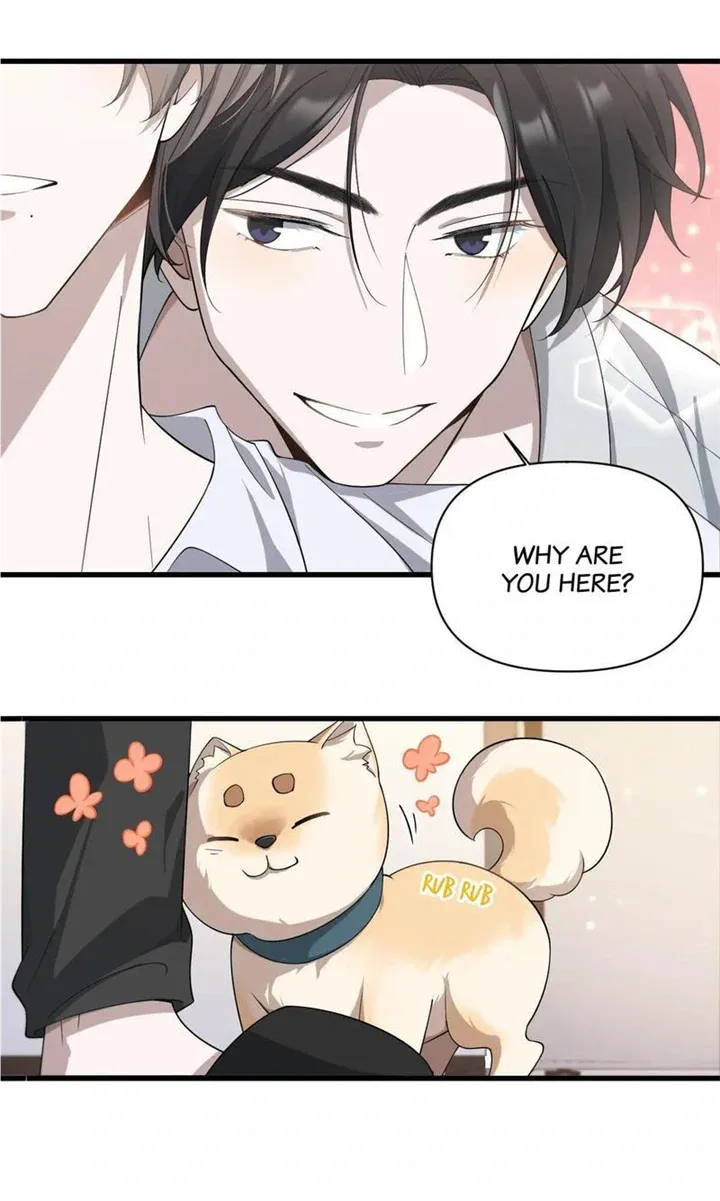 Aesthetic Formula Chapter 21 page 12 - 