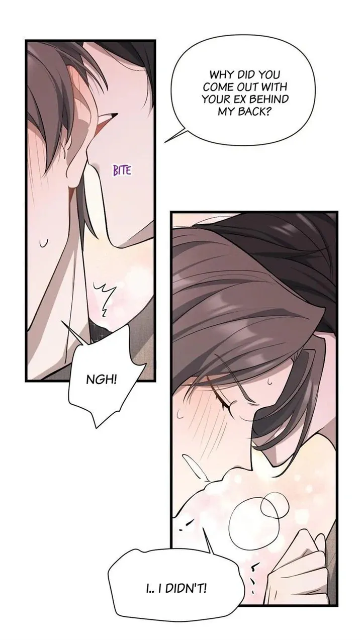 Aesthetic Formula Chapter 25 page 15 - 