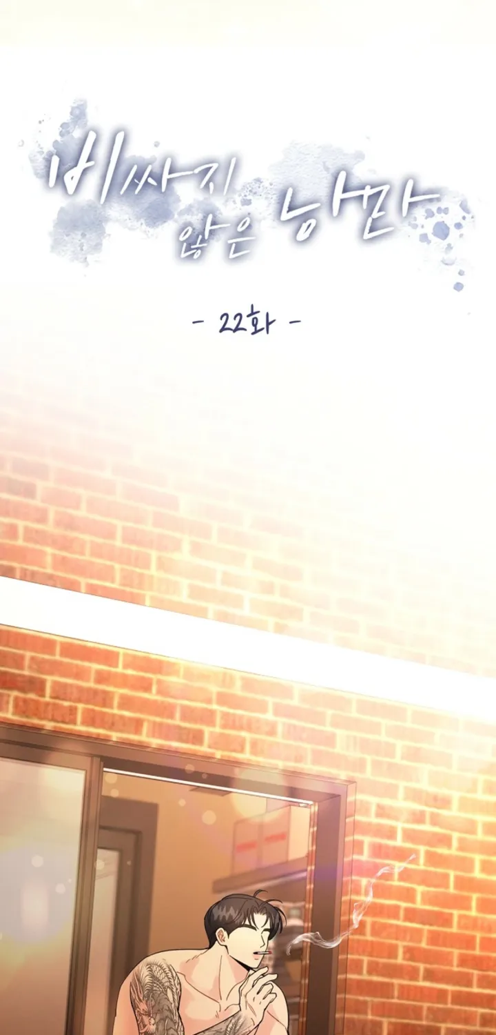 Affordable Romance Chapter 22 page 19 - 