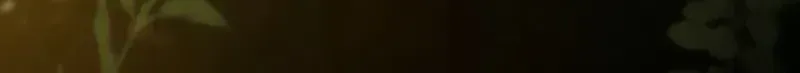 After Being Expelled, I Awakened a Barrier Skill and Became Unmatched Chapter 12 page 230 - 