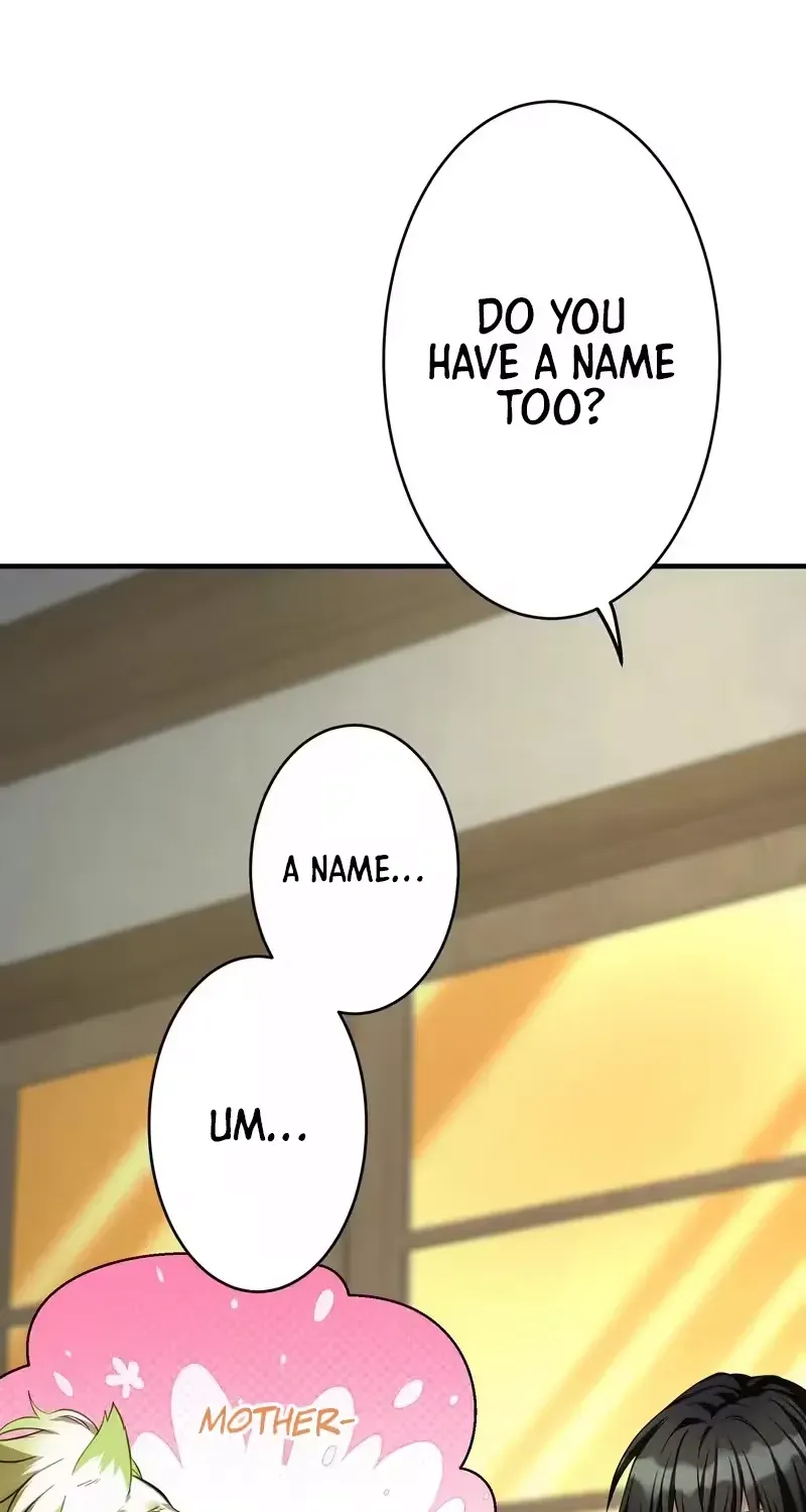 After Being Expelled, I Awakened a Barrier Skill and Became Unmatched Chapter 4 page 167 - 