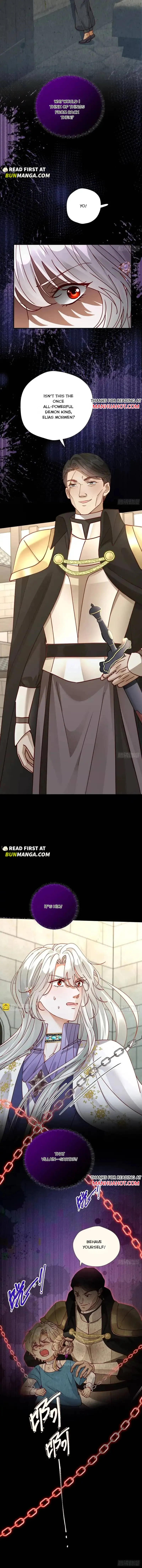 After Being Forcibly Taken Away by the Tyrannical Emperor Chapter 17 page 5 - 