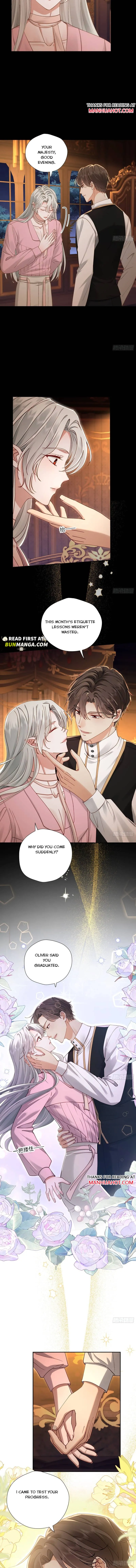 After Being Forcibly Taken Away by the Tyrannical Emperor Chapter 8 page 7 - 