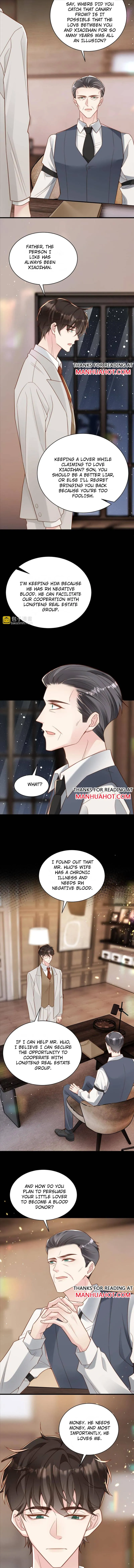 After Pretending To Have Amnesia, My Rival Said I Was His Boyfriend Chapter 43 page 5 - 
