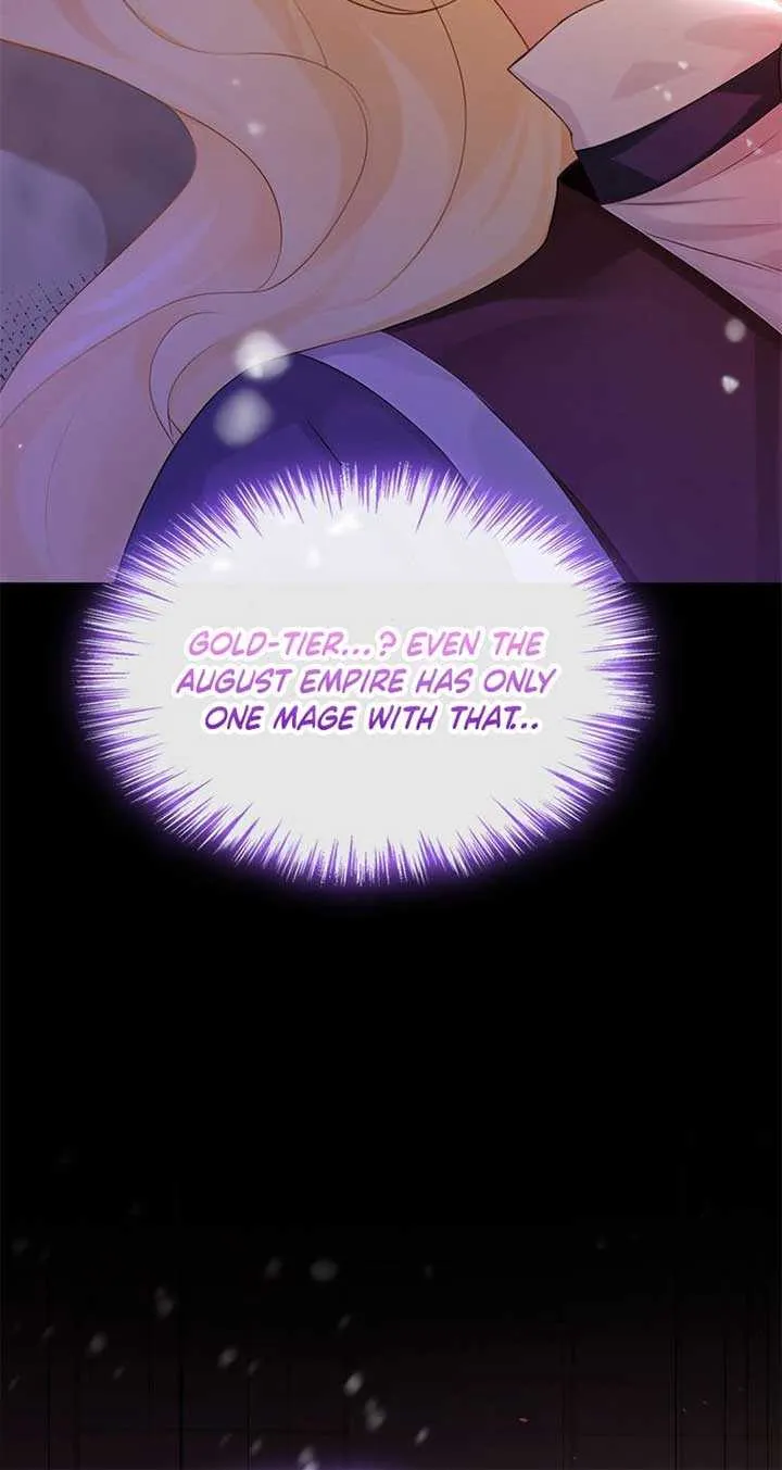 After relinquishing my talent, I became a favorite of the wizarding world Chapter 2 page 47 - 