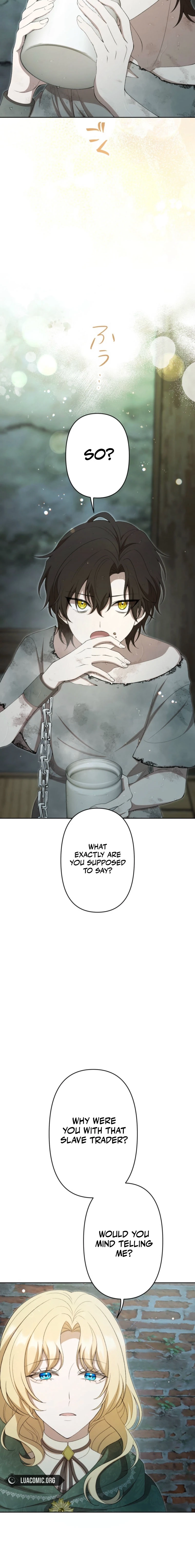 After Ten Years, My Slave Returned to Me Chapter 17 page 2 - 