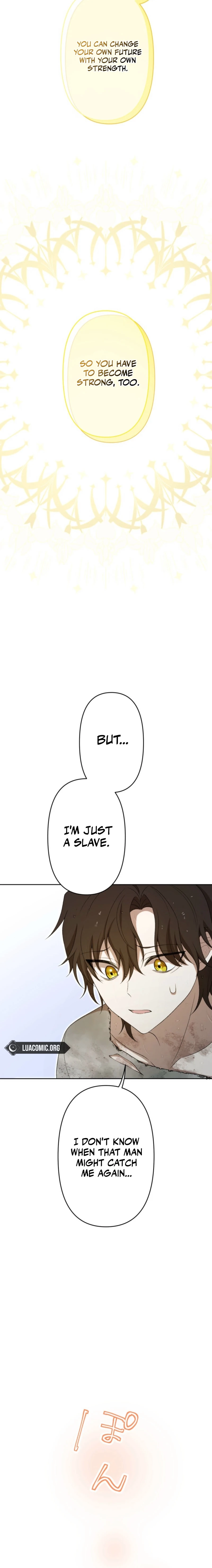 After Ten Years, My Slave Returned to Me Chapter 17 page 6 - 