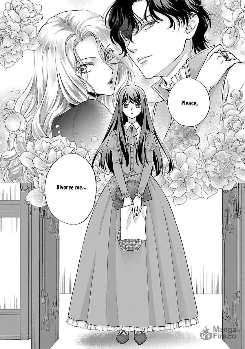 after three years of a loveless marriage… may i request a divorce my lord Chapter 1 page 8 - 