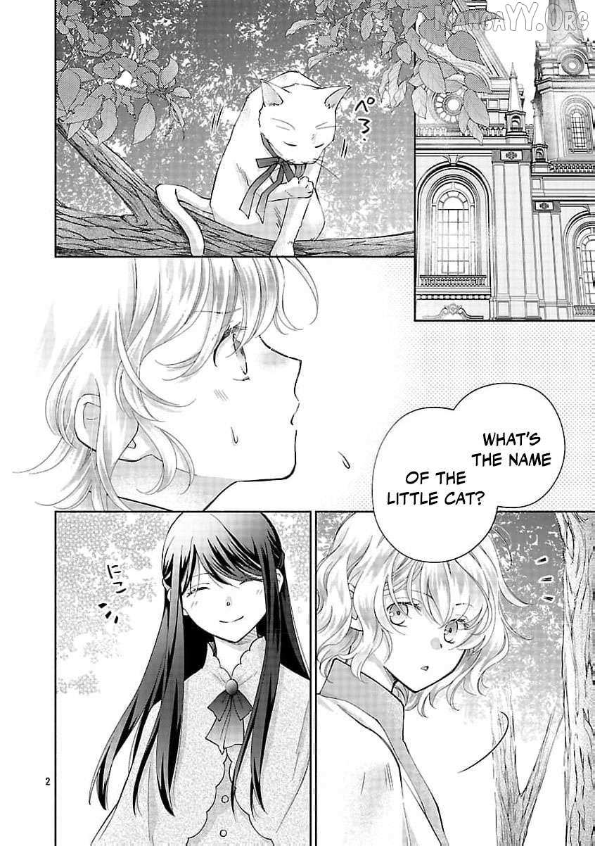 after three years of a loveless marriage… may i request a divorce my lord Chapter 13 page 6 - 
