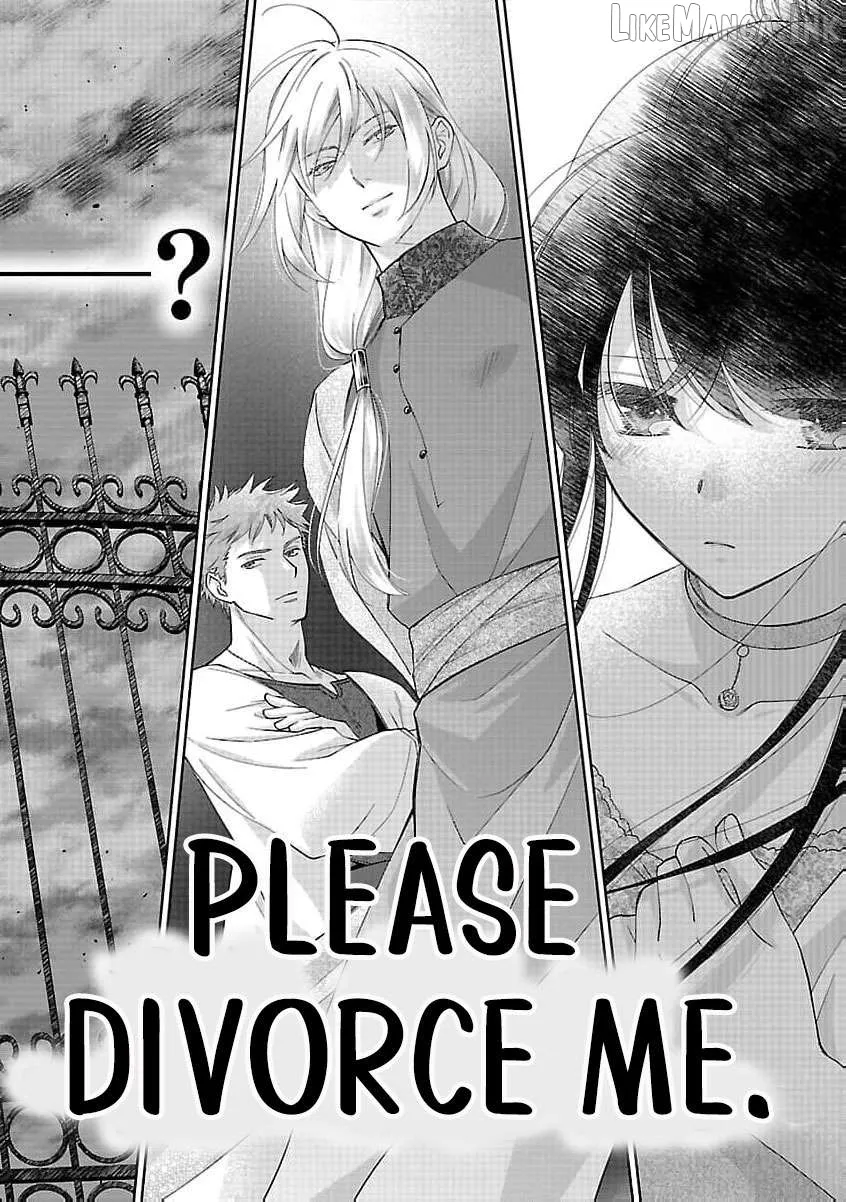 after three years of a loveless marriage… may i request a divorce my lord Chapter 17 page 5 - 