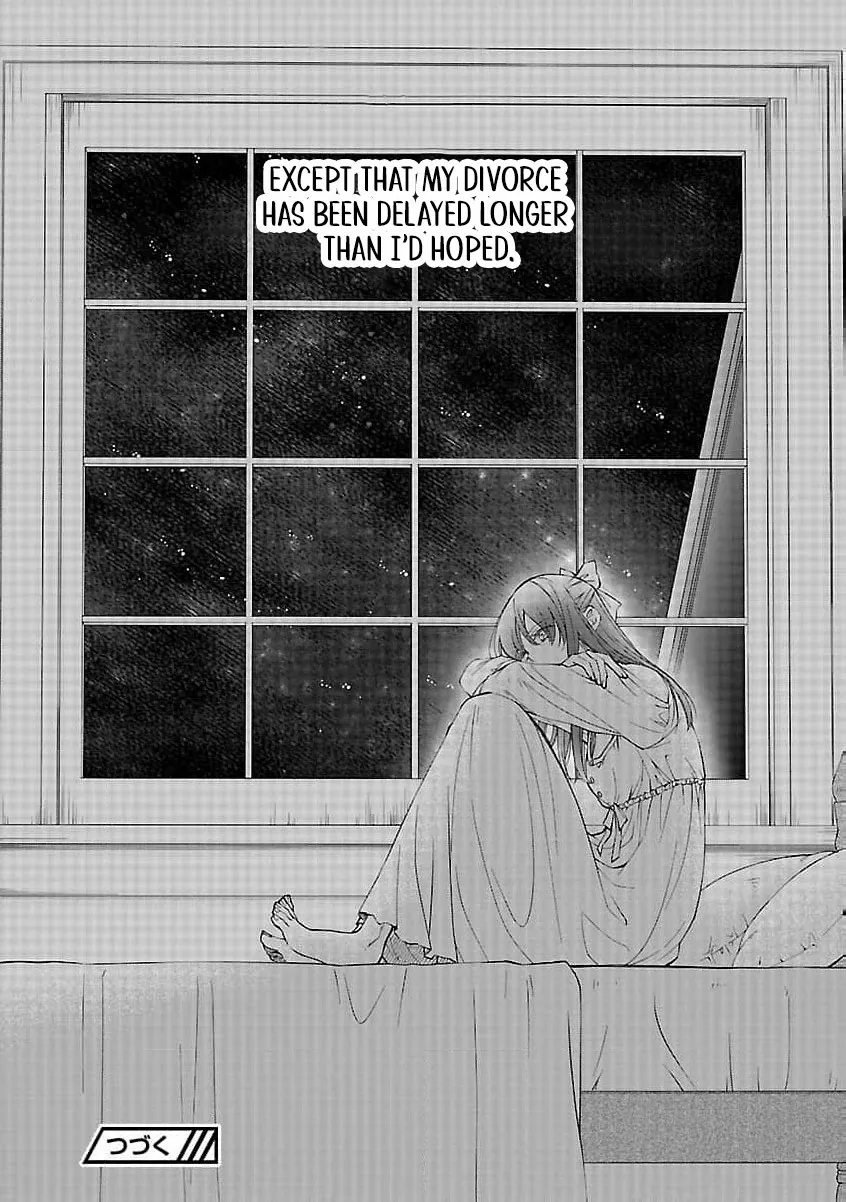 after three years of a loveless marriage… may i request a divorce my lord Chapter 5 page 28 - 