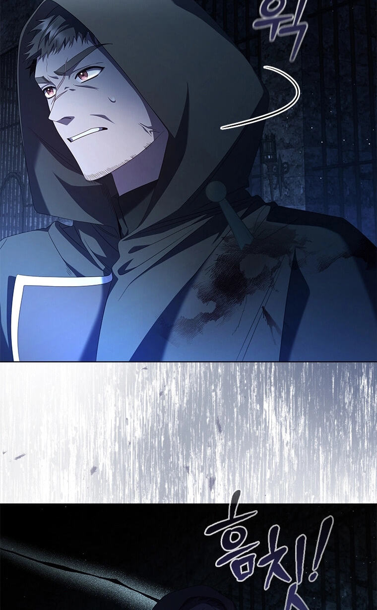 Aideen Chapter 77 page 29 - 