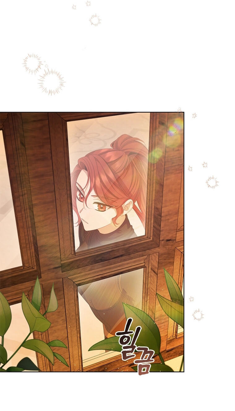 Aideen Chapter 78 page 35 - 