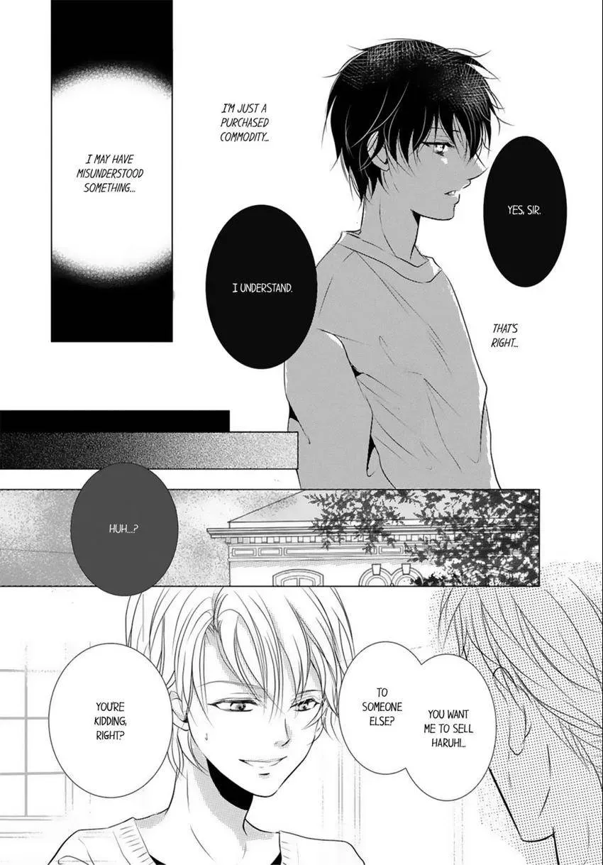 Aigan Auction Ikasete, Aegasete, Morasasete... Chapter 3 page 6 - 