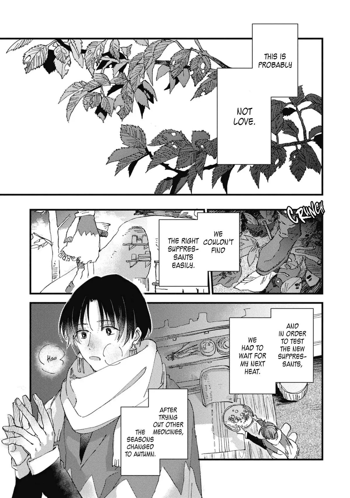 Aijitsu to Hanayome Chapter 3 page 8 - 