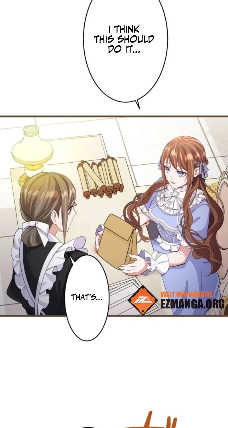 Aisuru Koushaku-sama, Tsutsushin de Korosasete Itadakimasu! Chapter 13 page 28 - 