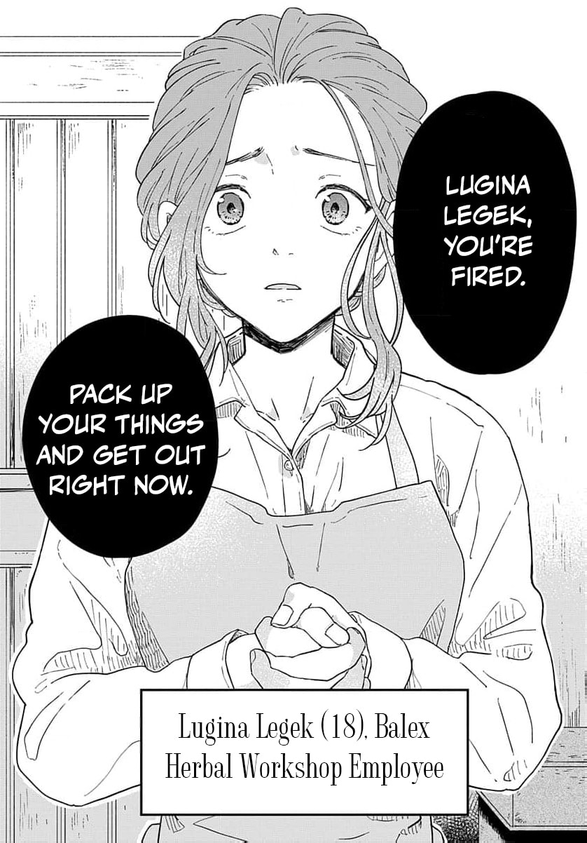 "Akage no Yakutatazu" to Kubi ni Natta Maryoku Nashi no Majo desu ga, "Yakusou no Chishiki ga Hanpanai!" to Ouritsu Kenkyuujo ni Soku Saiyou Saremashita Chapter 1 page 4 - 
