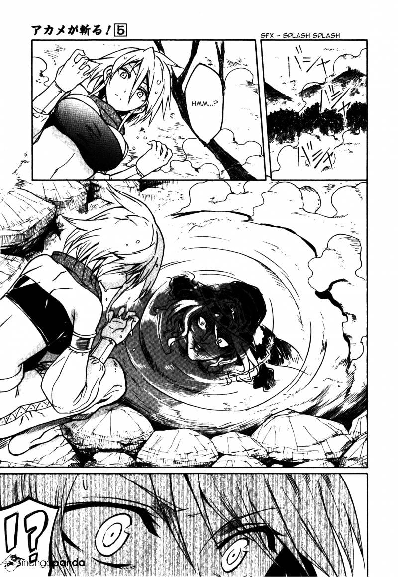 Akame Ga Kill! Chapter 20 page 5 - 