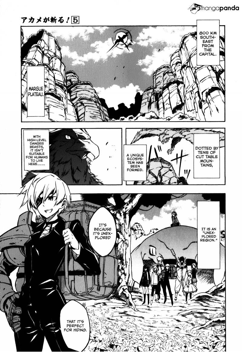 Akame Ga Kill! Chapter 22 page 5 - 