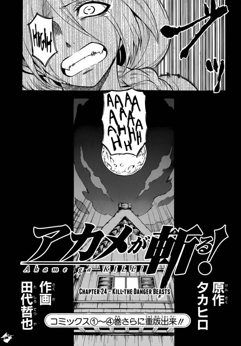 Akame Ga Kill! Chapter 24 page 3 - 
