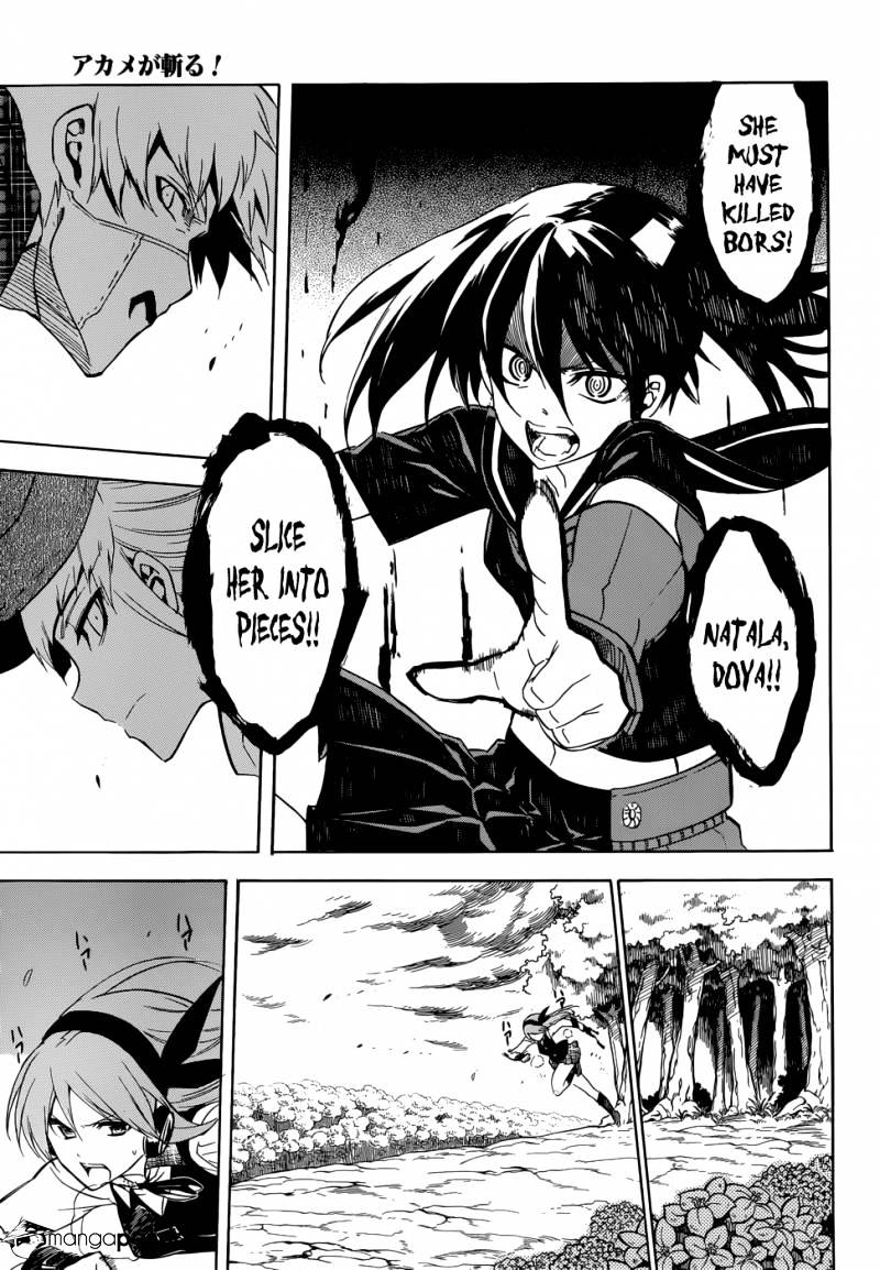 Akame Ga Kill! Chapter 33 page 33 - 