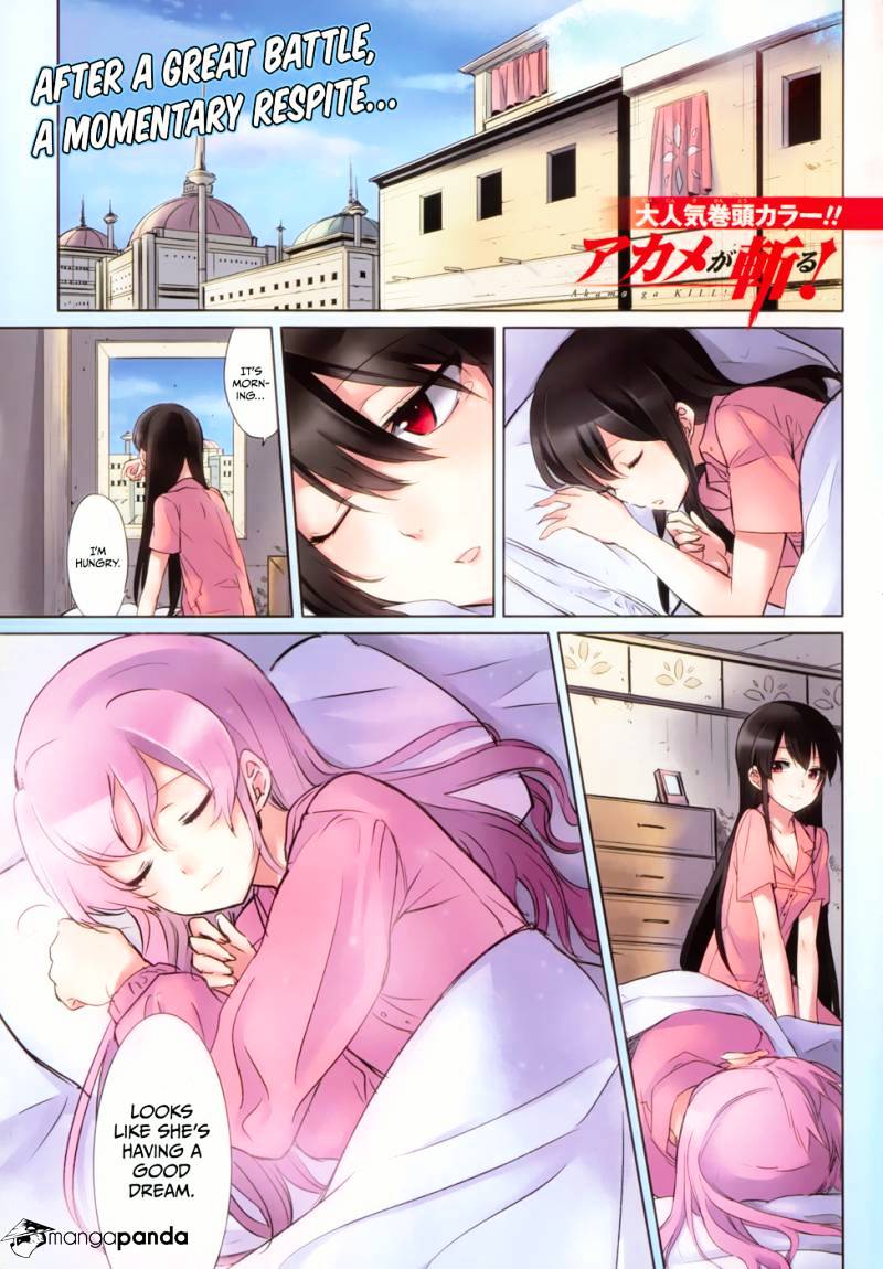 Akame Ga Kill! Chapter 39 page 1 - 