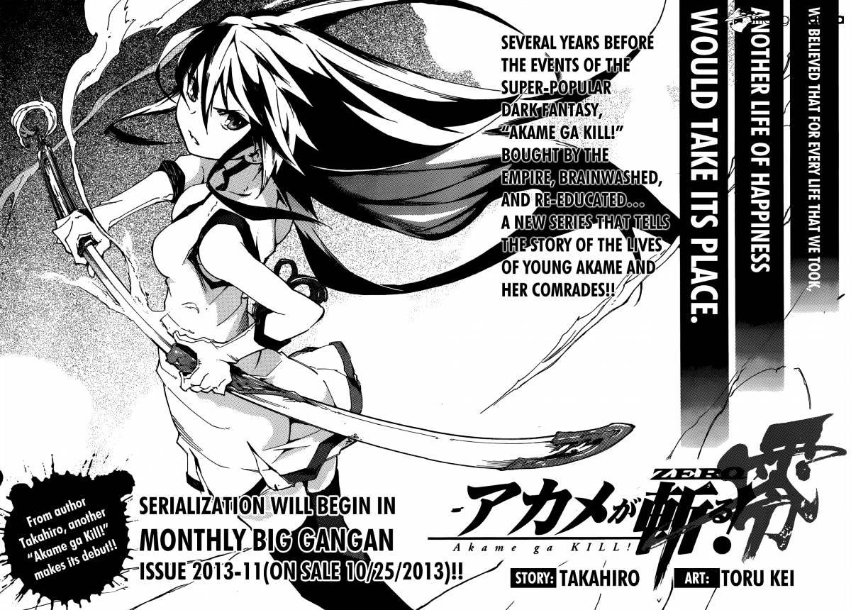 Akame Ga Kill! Chapter 39 page 43 - 