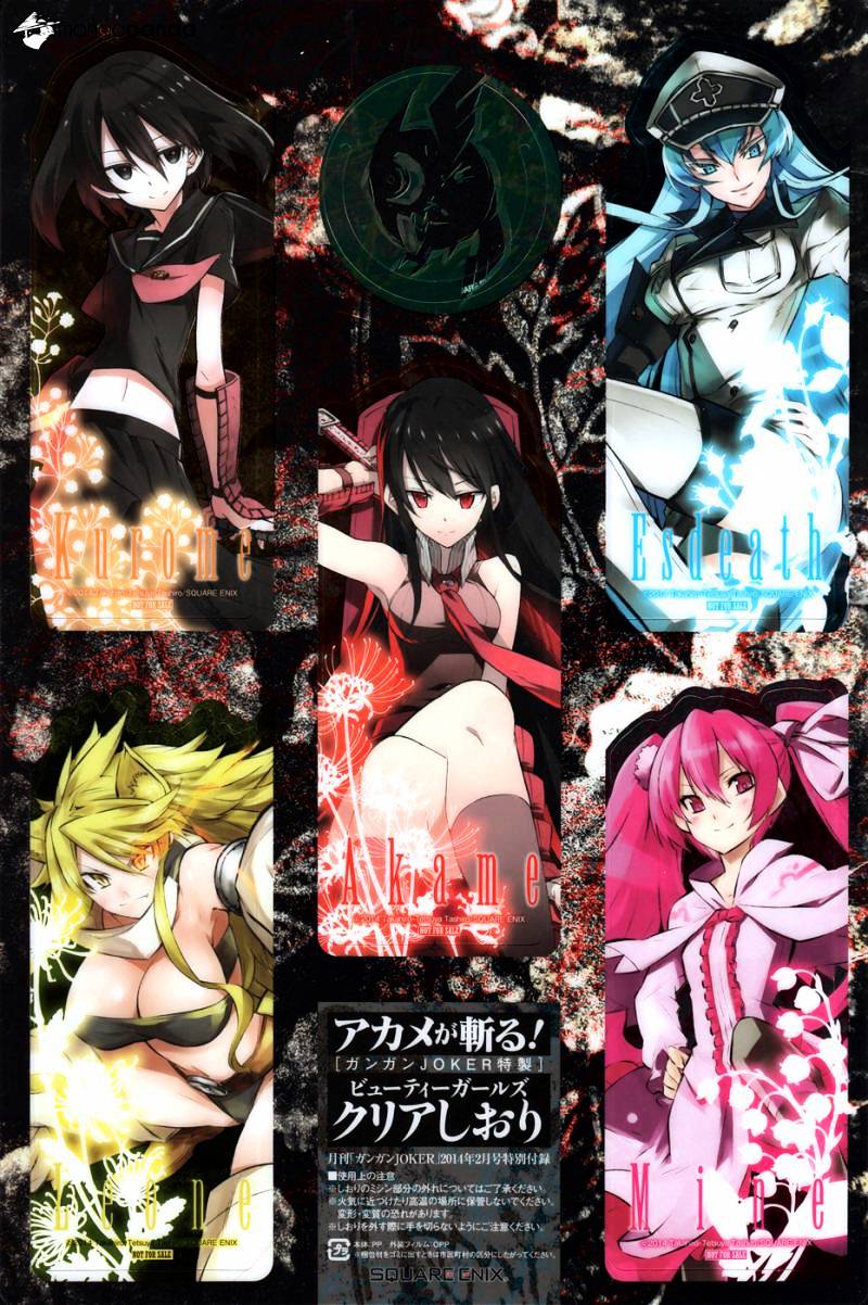 Akame Ga Kill! Chapter 46 page 47 - 