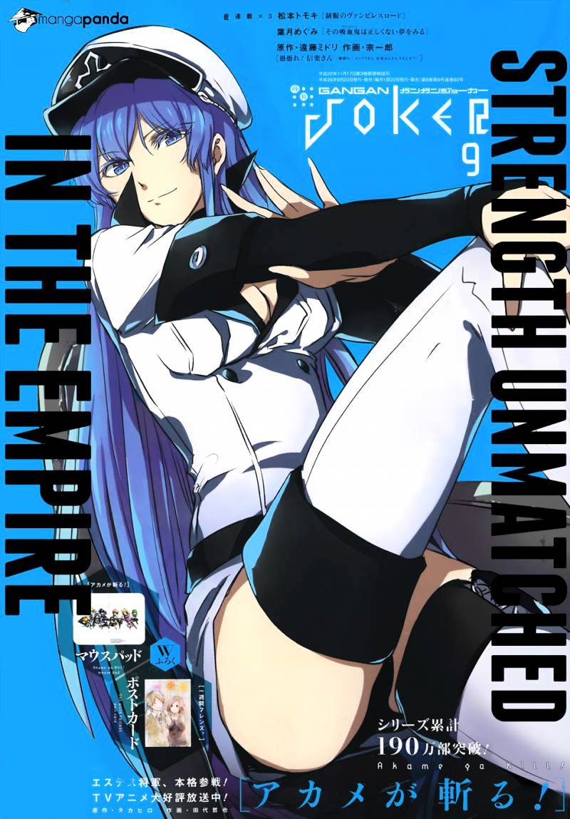 Akame Ga Kill! Chapter 52 page 40 - 