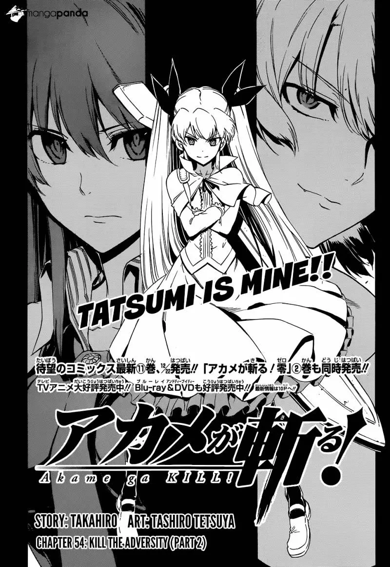 Akame Ga Kill! Chapter 54 page 3 - 