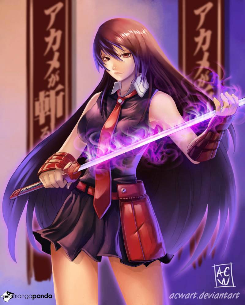 Akame Ga Kill! Chapter 56 page 2 - 
