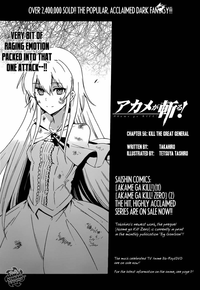 Akame Ga Kill! Chapter 56 page 18 - 