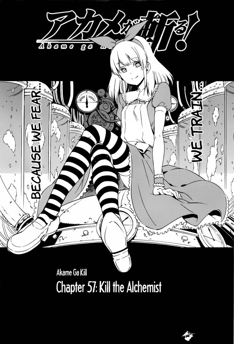 Akame Ga Kill! Chapter 57 page 1 - 