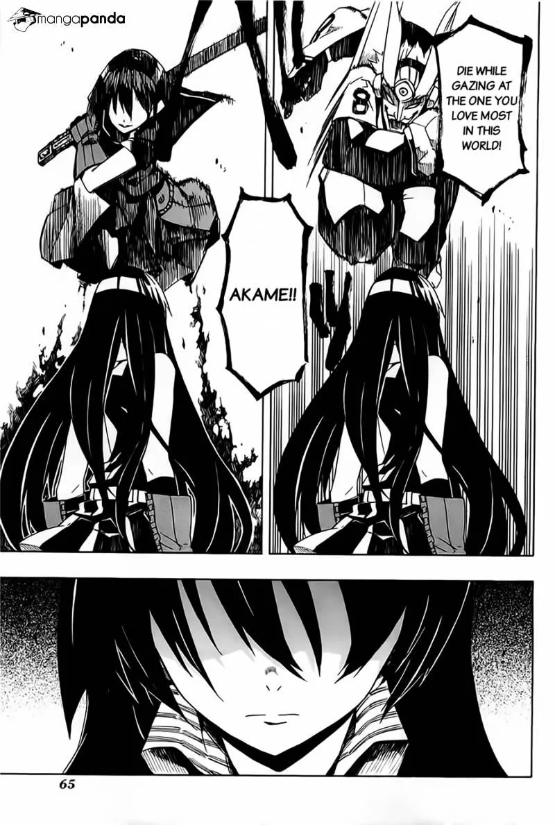 Akame Ga Kill! Chapter 6 page 29 - 