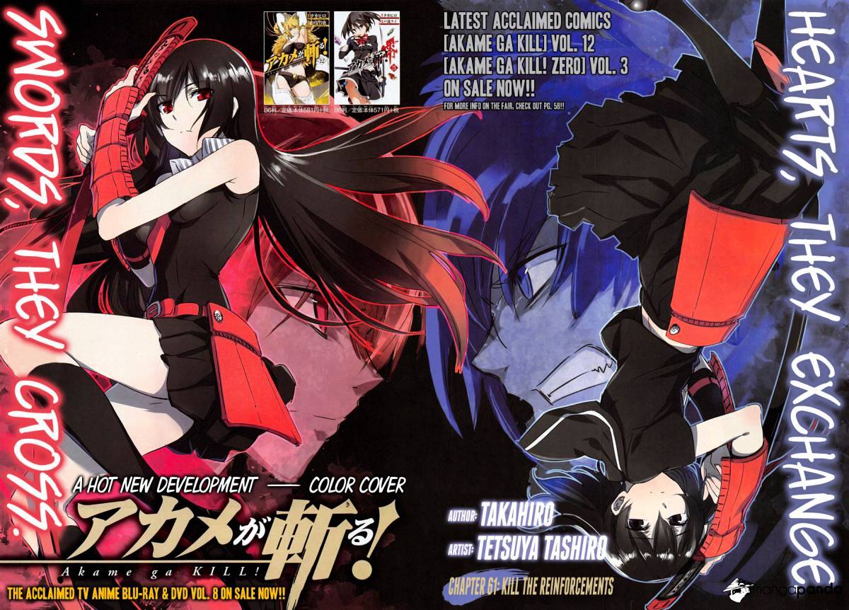 Akame Ga Kill! Chapter 61 page 3 - 