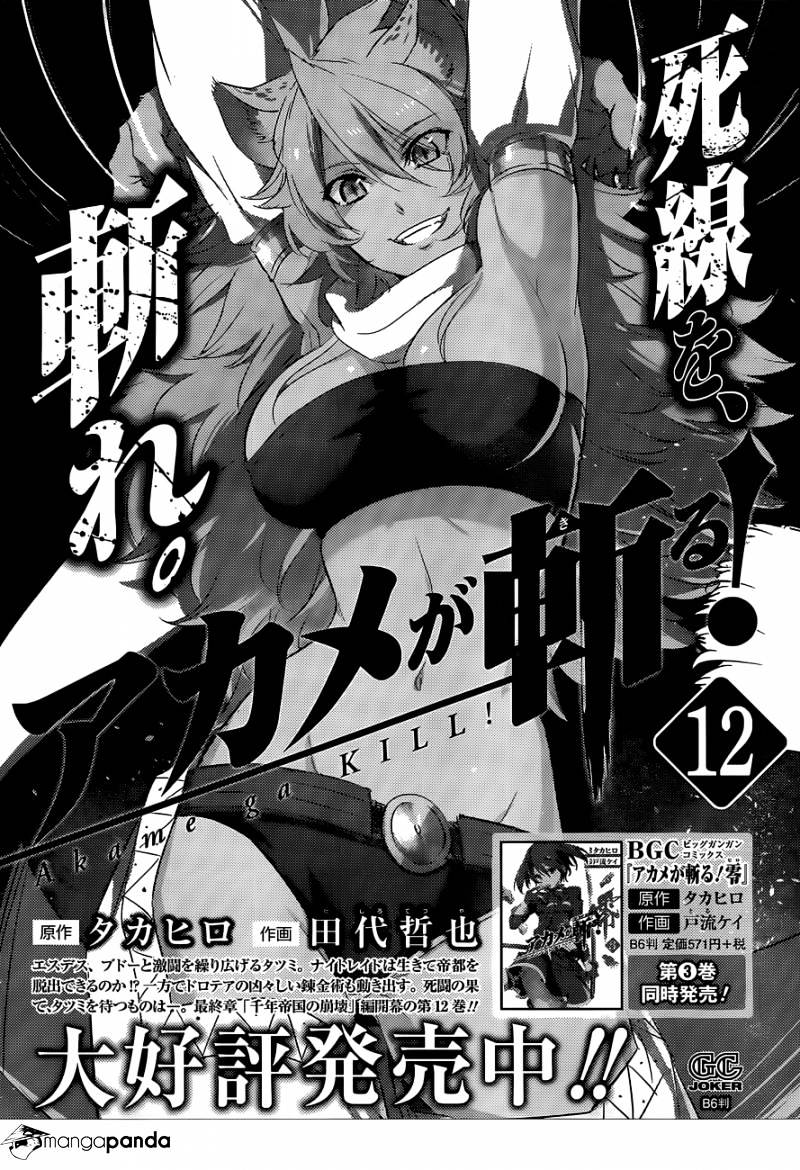 Akame Ga Kill! Chapter 62 page 49 - 
