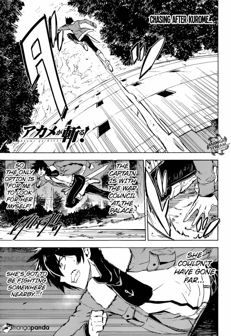 Akame Ga Kill! Chapter 65 page 1 - 