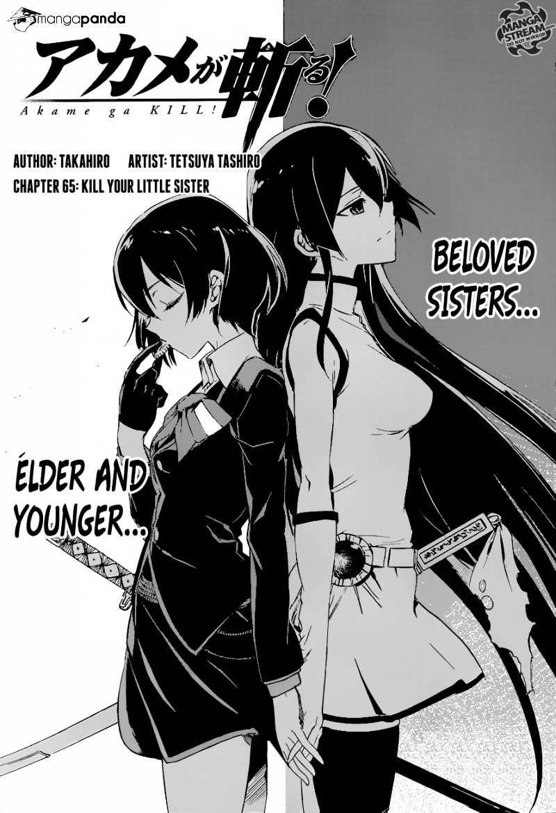 Akame Ga Kill! Chapter 65 page 5 - 