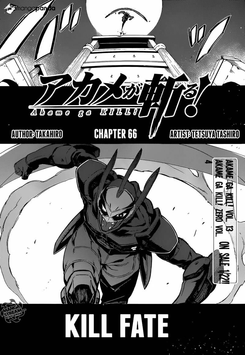 Akame Ga Kill! Chapter 66 page 5 - 
