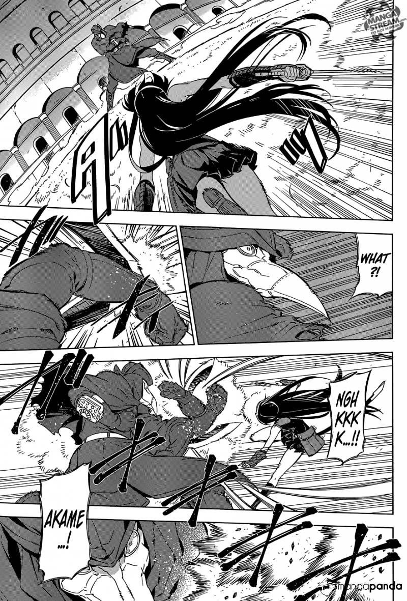 Akame Ga Kill! Chapter 70 page 17 - 