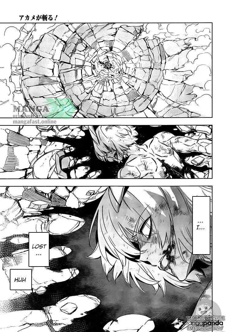Akame Ga Kill! Chapter 73 page 19 - 