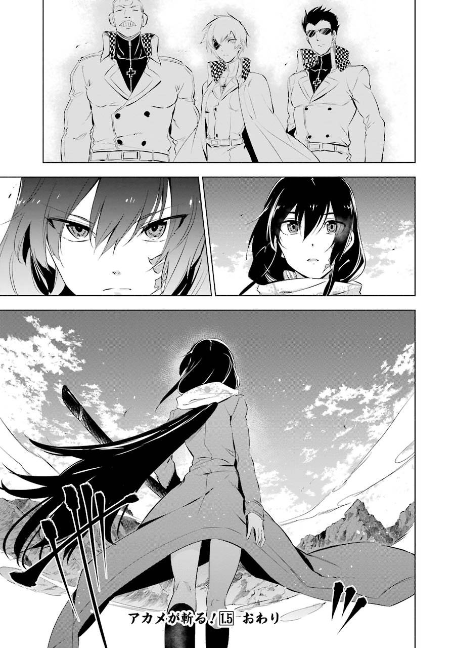 Akame Ga Kill! Chapter 78.5 page 17 - 