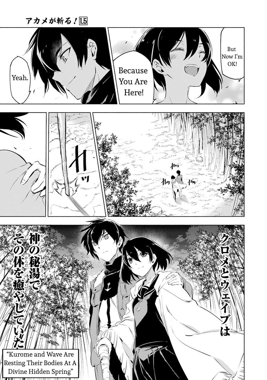 Akame Ga Kill! Chapter 78.5 page 7 - 