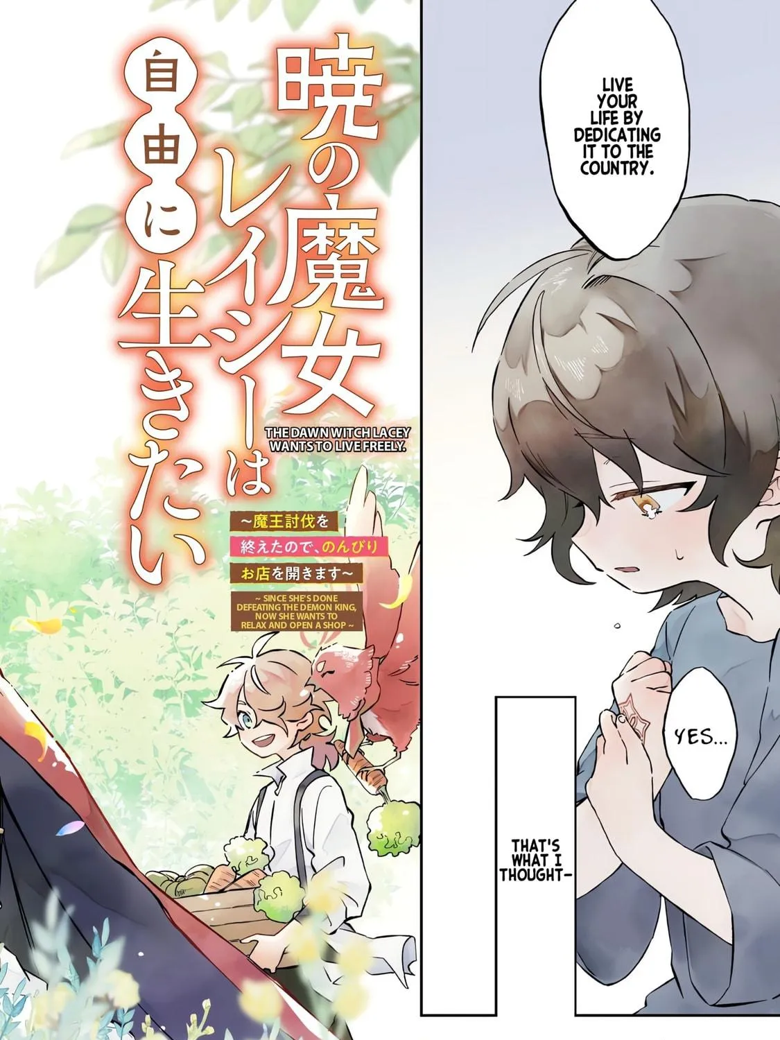 Akatsuki No Majo Reishi Wa Jiyu Ni Ikitai Mao Tobatsu o Oeta Node, Nonbiri O Mise O Hirakimasu Chapter 1 page 5 - 