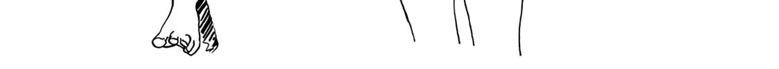 Akebi