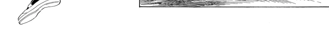 Akebi