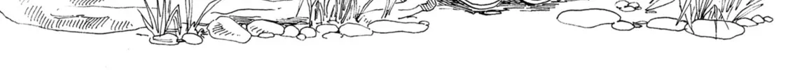 Akebi