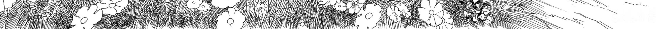 Akebi