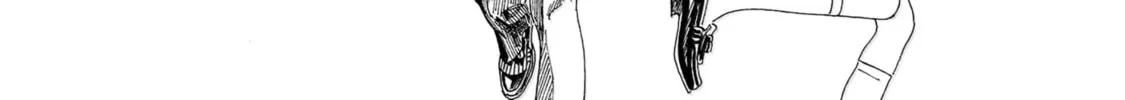 Akebi